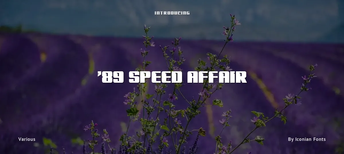 '89 Speed Affair font preview