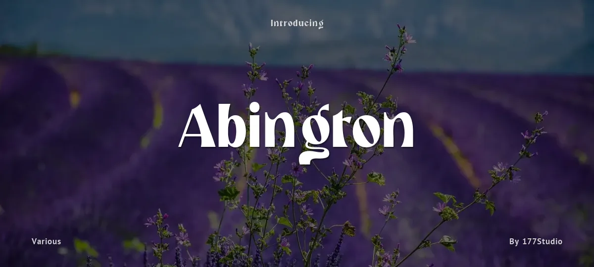 Abington font preview