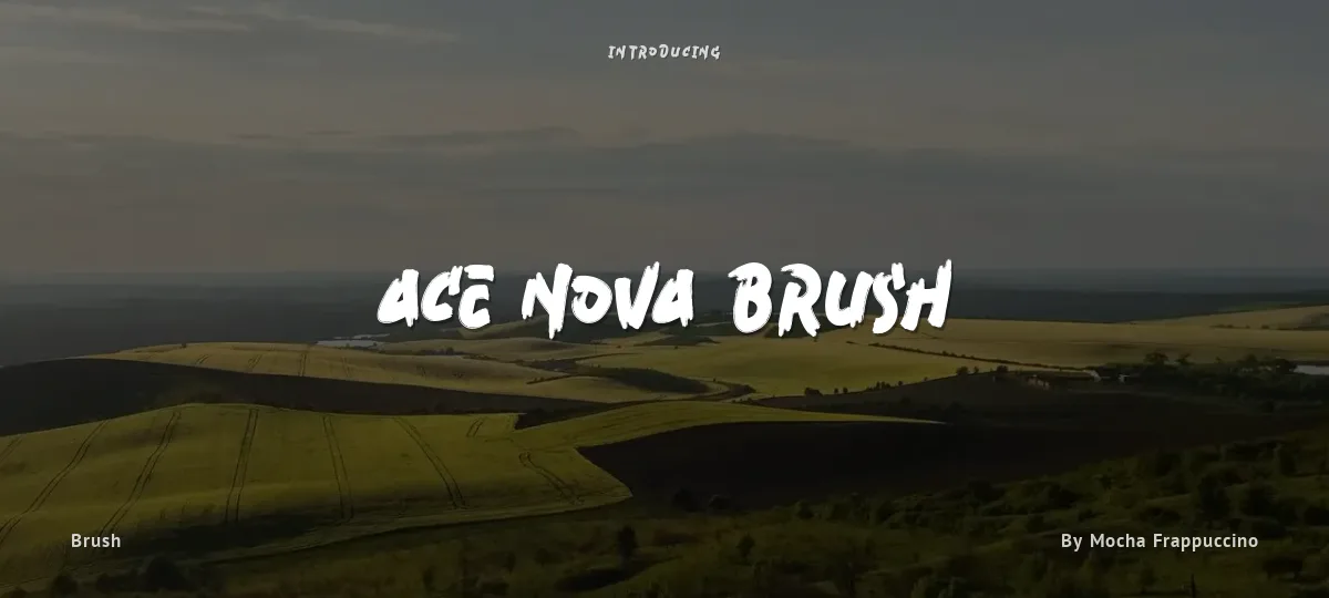 Ace Nova Brush font preview