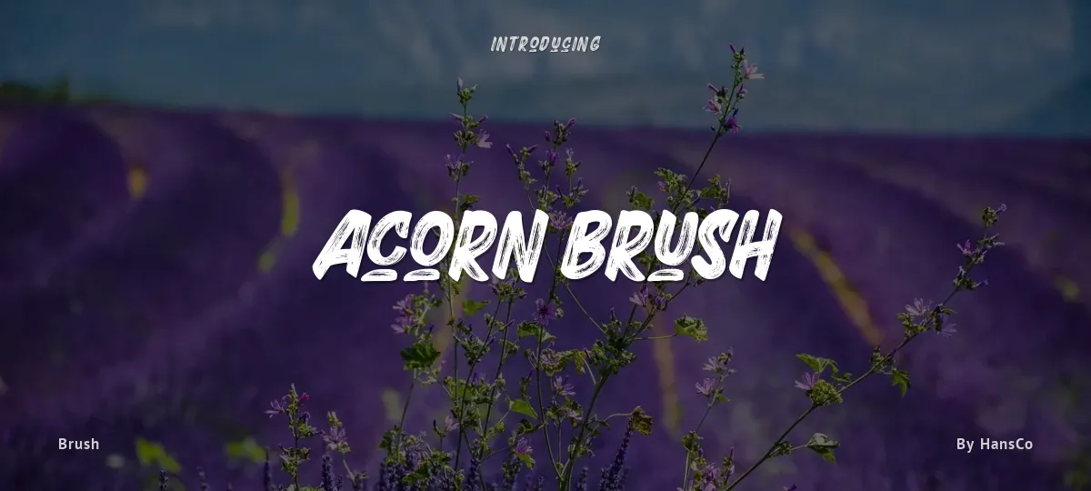 Acorn Brush font preview