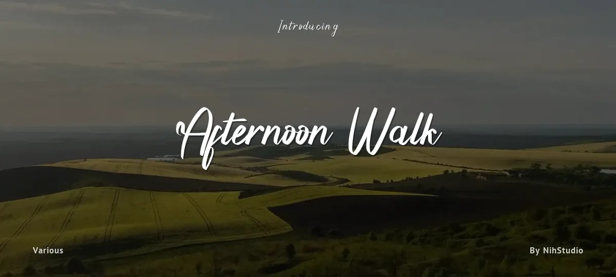 Afternoon Walk font preview