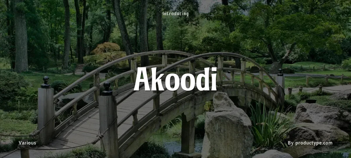 Akoodi font preview