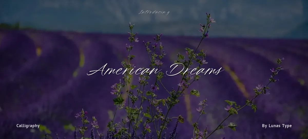 American Dreams font preview