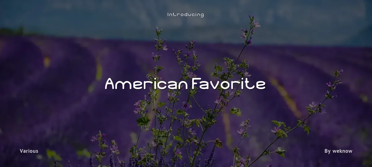 American Favorite font preview