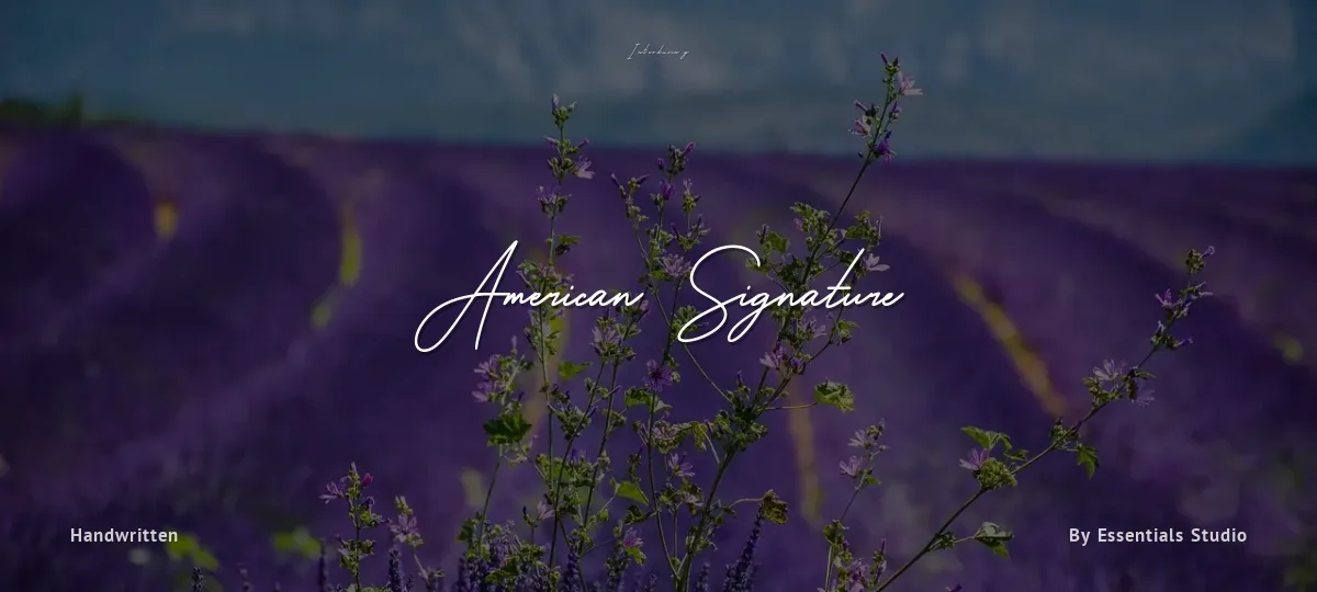American Signature font preview