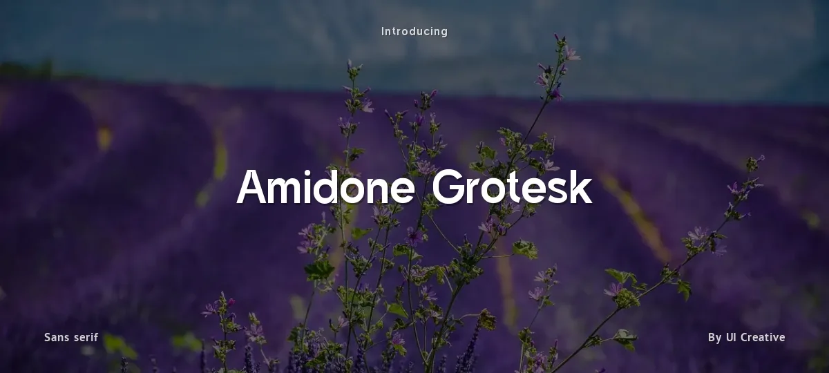 Amidone Grotesk font preview