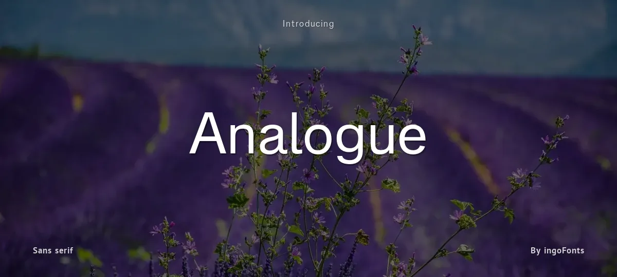 Analogue font preview