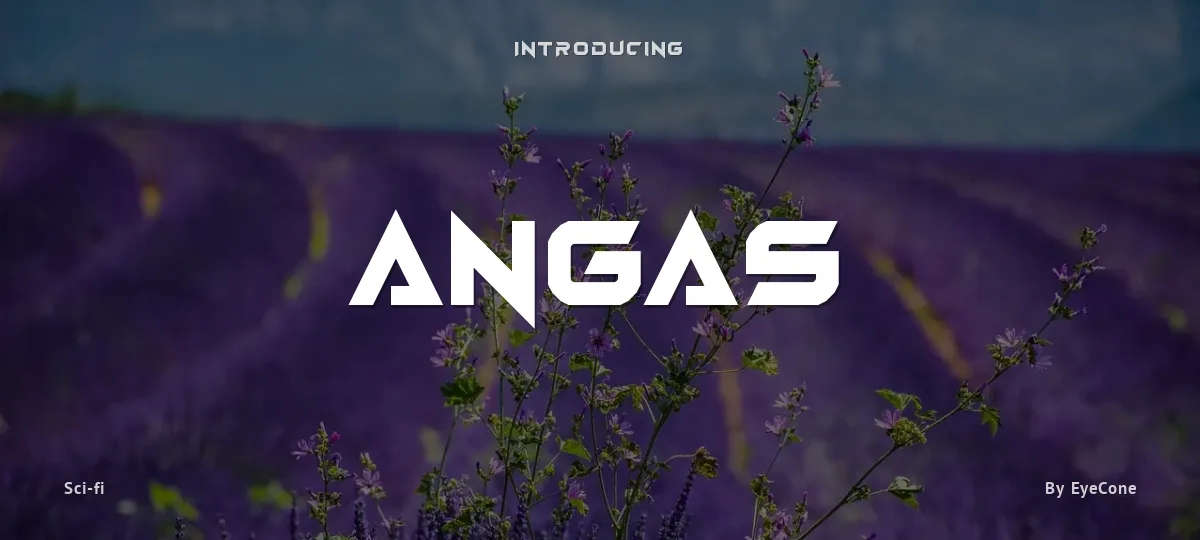 Angas font preview