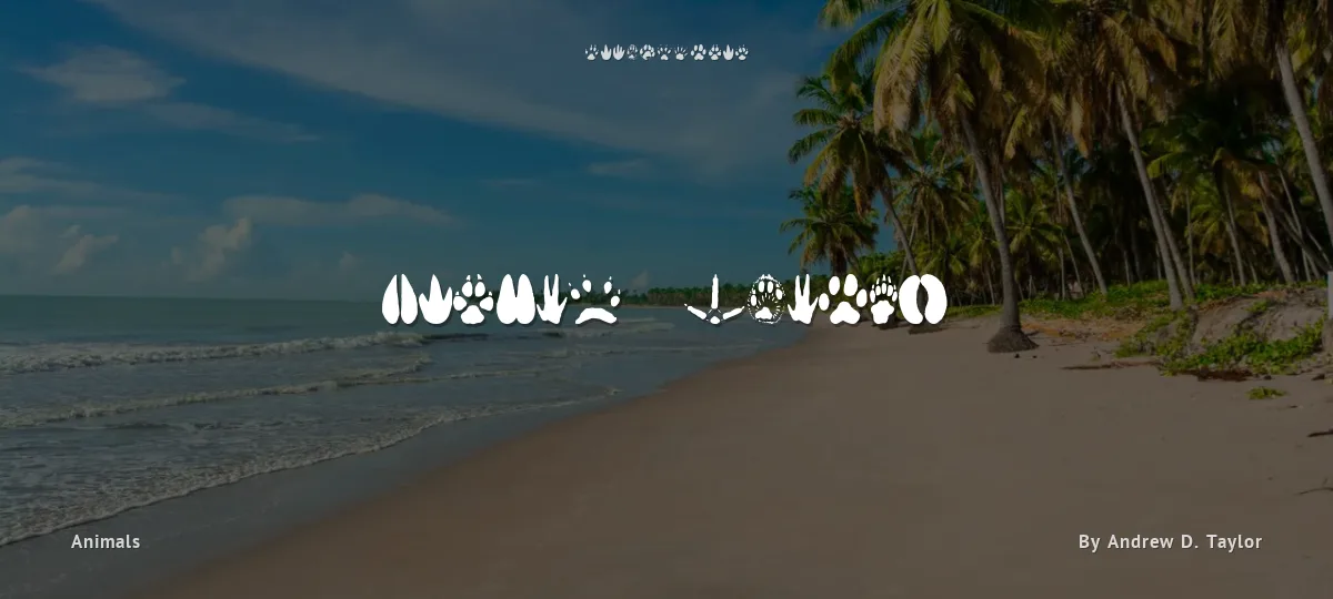 Animal Tracks font preview