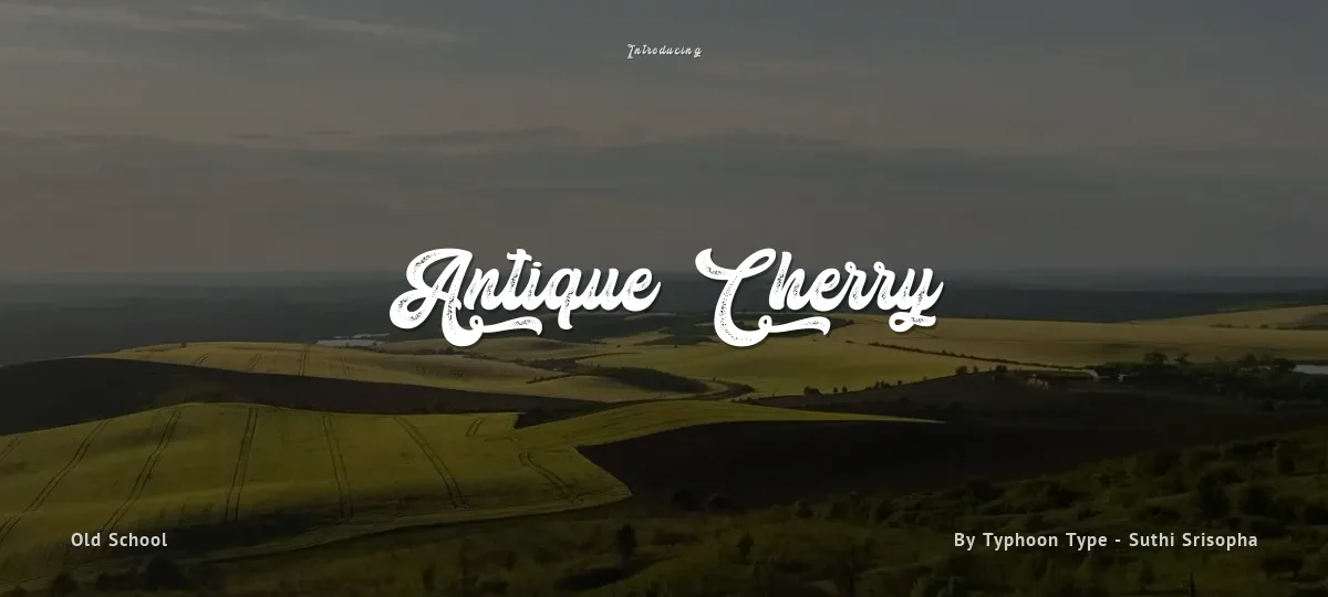 Antique Cherry font preview