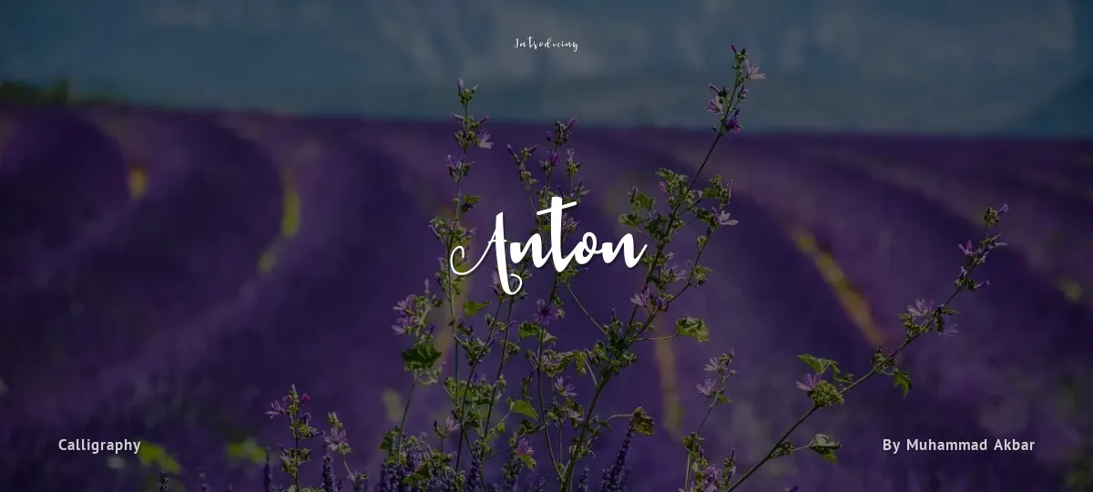 Anton font preview