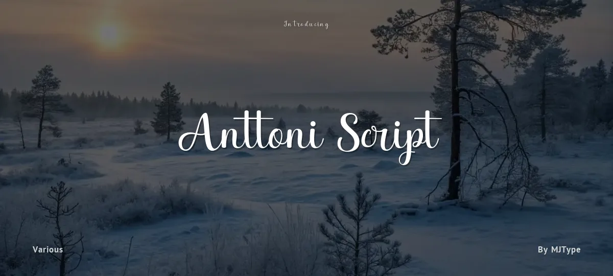 Anttoni Script font preview