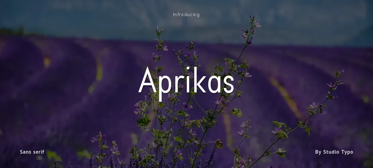 Aprikas font preview