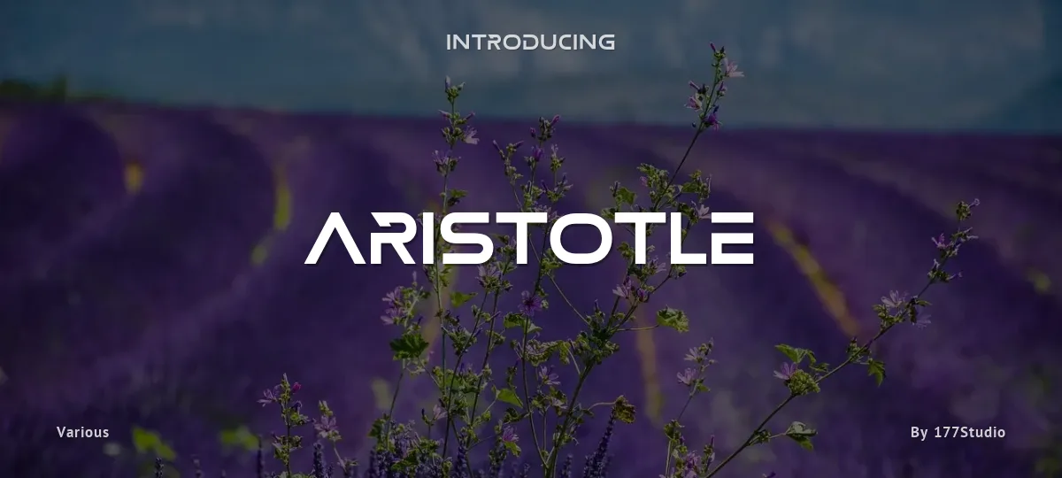 Aristotle font preview
