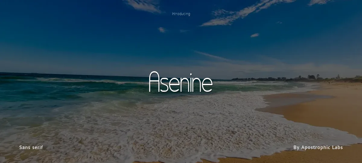 Asenine font preview