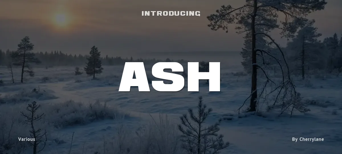 Ash font preview