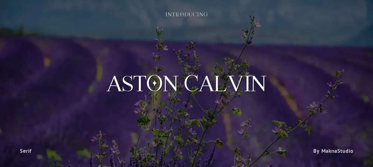 Aston Calvin font preview