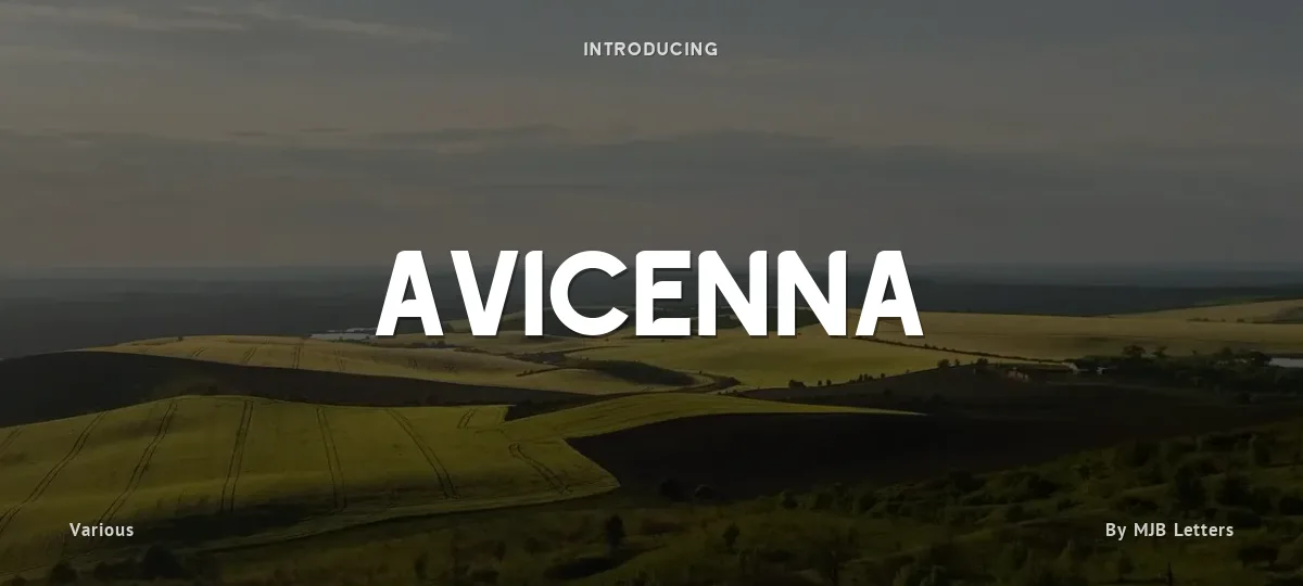 Avicenna font preview