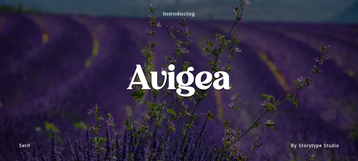 Avigea font preview