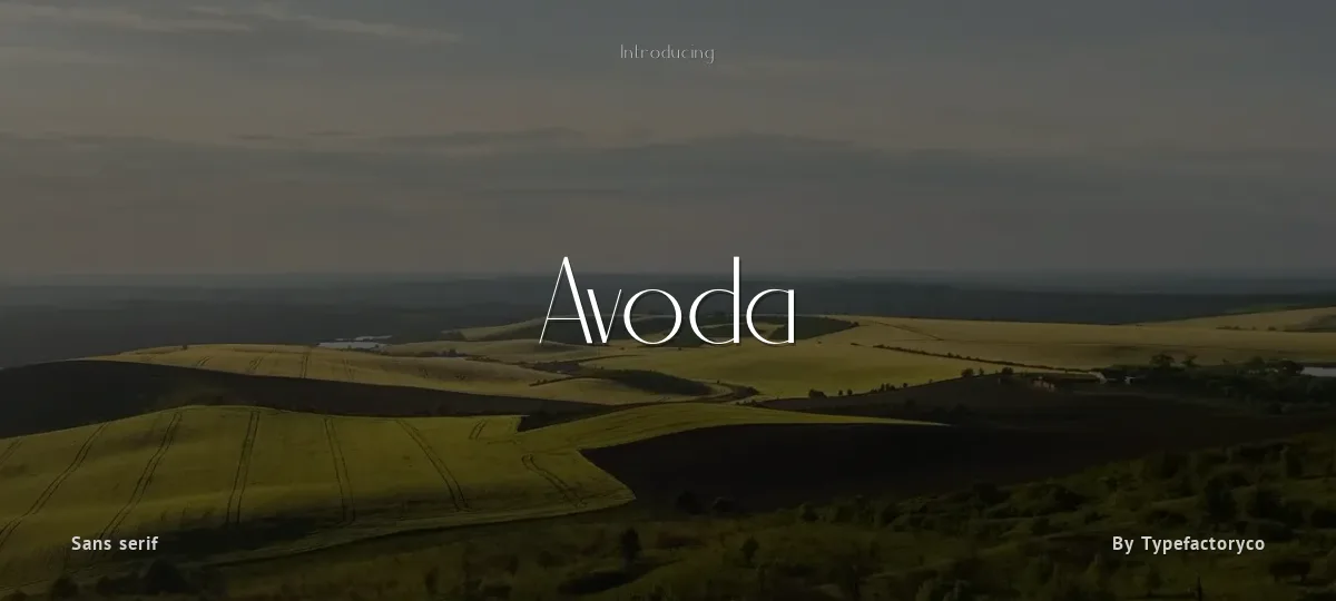 Avoda font preview