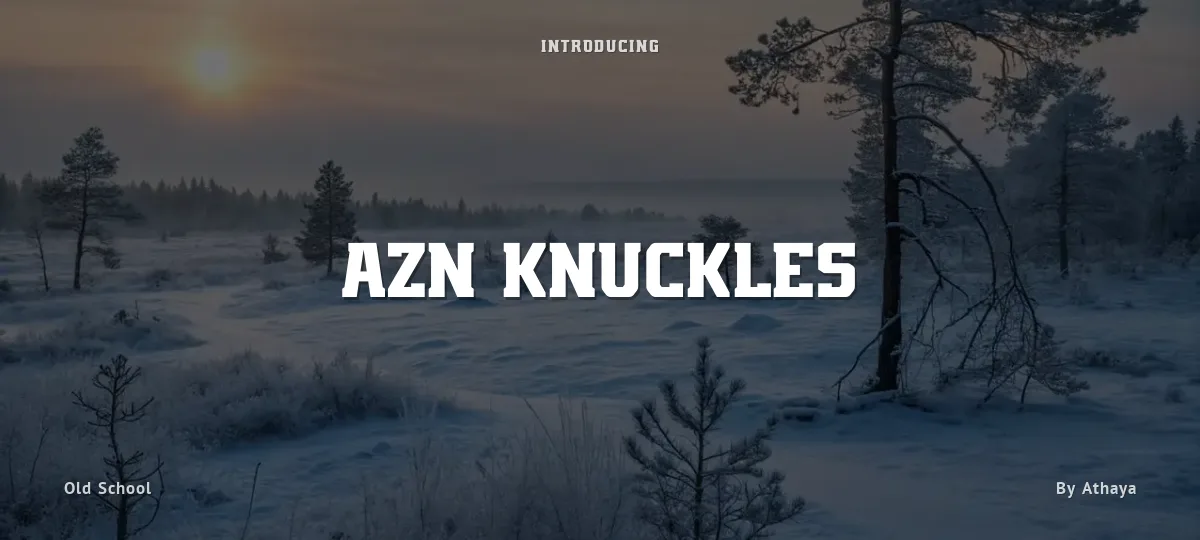 AZN Knuckles font preview