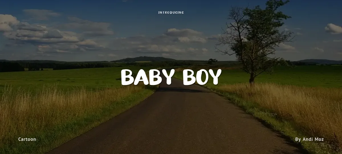 Baby Boy font preview