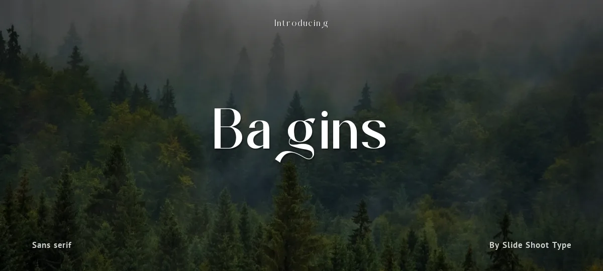 Bagins font preview