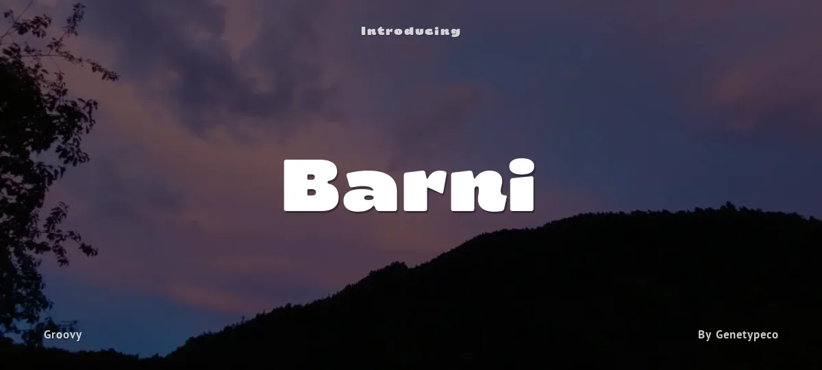 Barni font preview