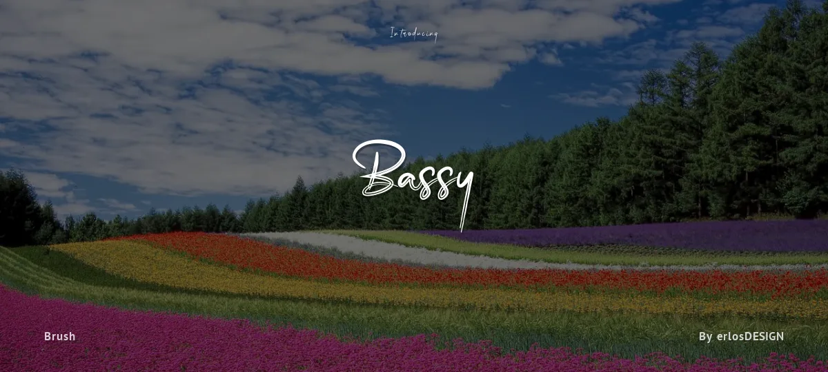 Bassy font preview