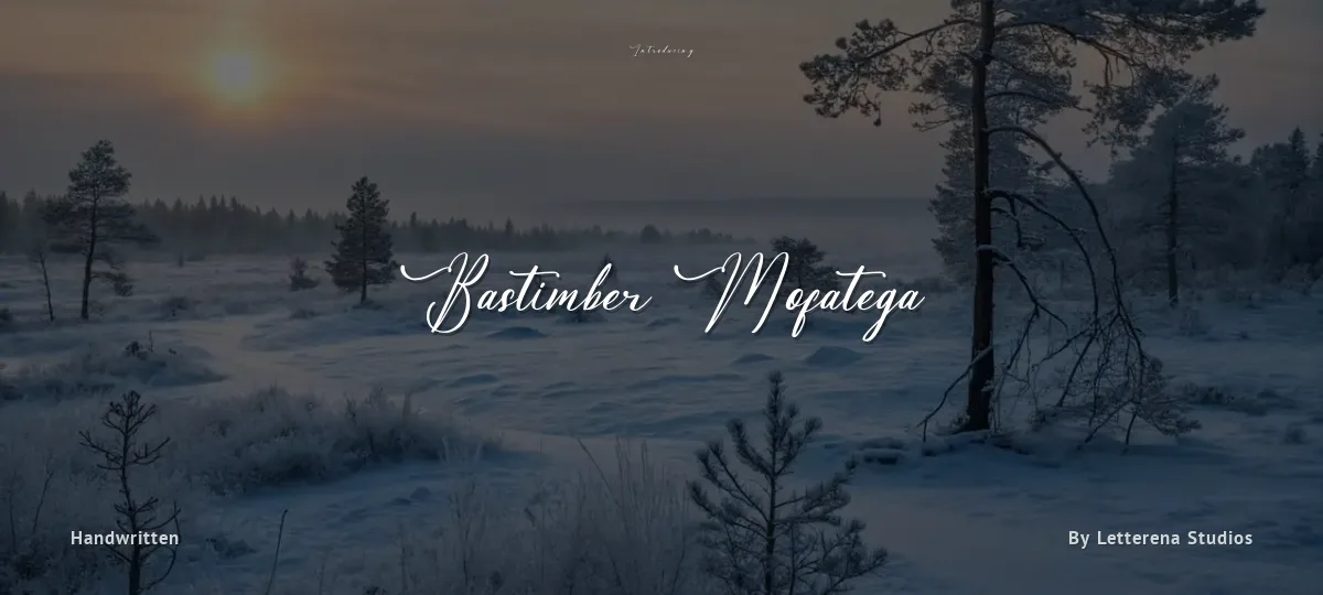Bastimber Mofatega font preview