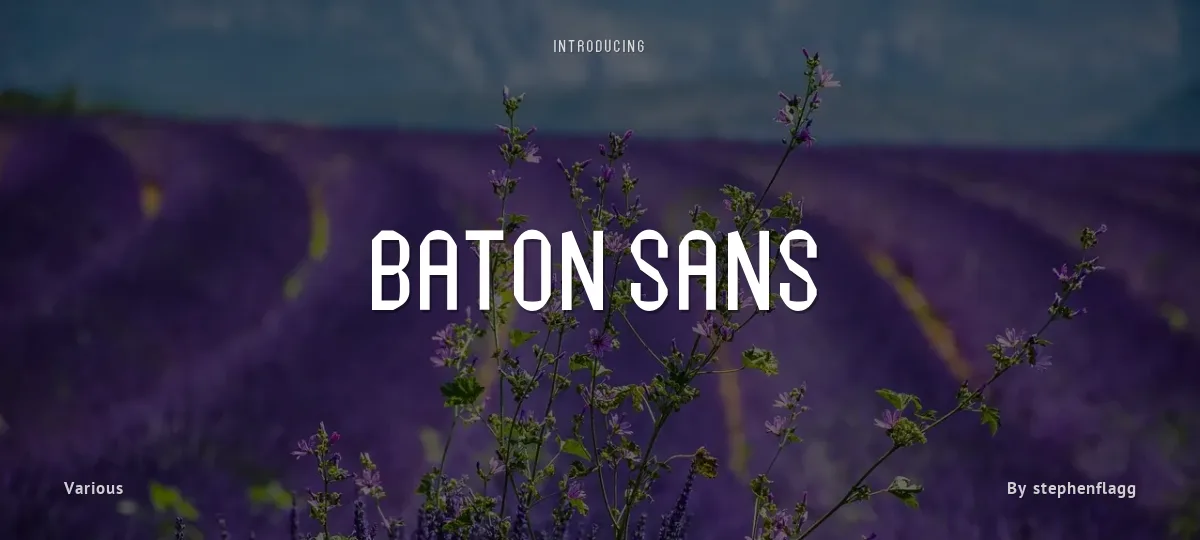Baton Sans font preview
