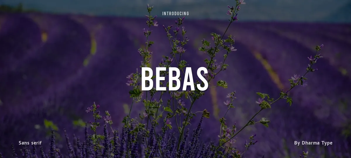 Bebas font preview