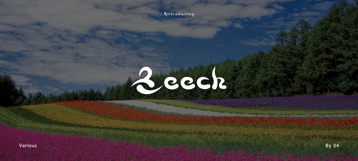 Beech font preview