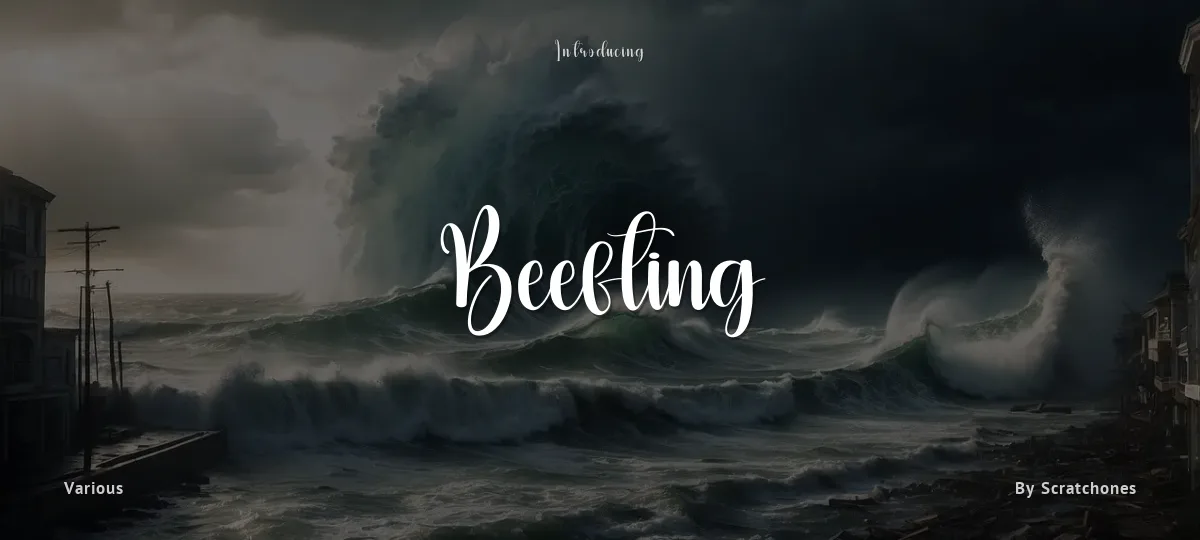 Beefting font preview