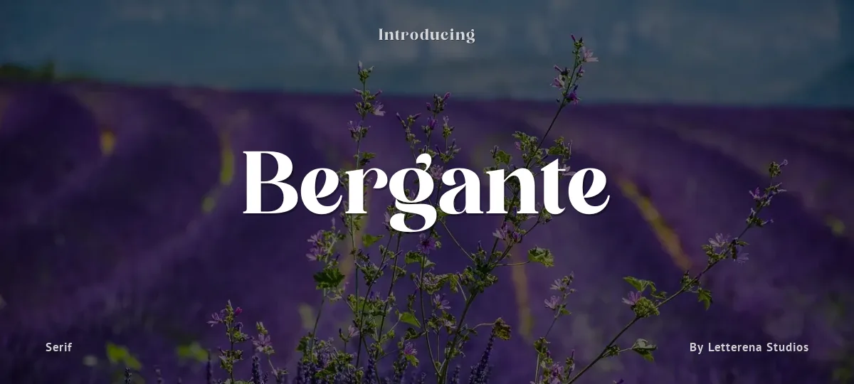 Bergante font preview