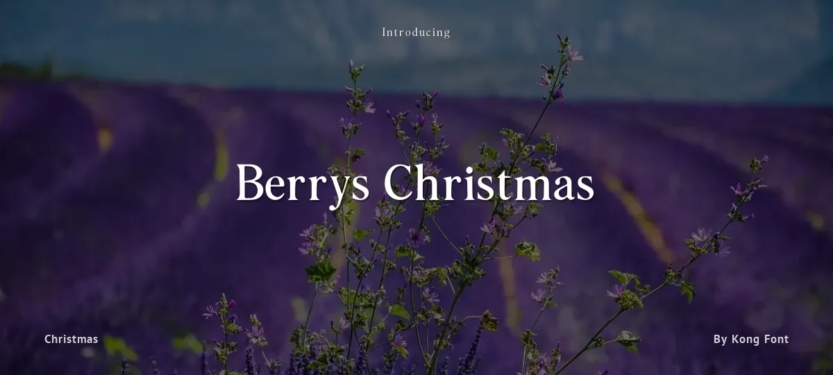 Berrys Christmas font preview