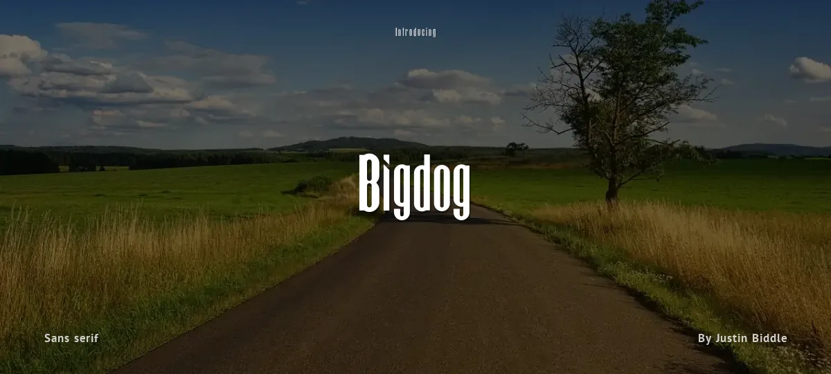 Bigdog font preview