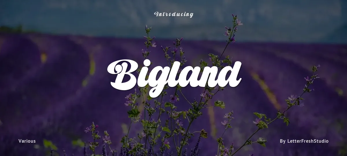 Bigland font preview
