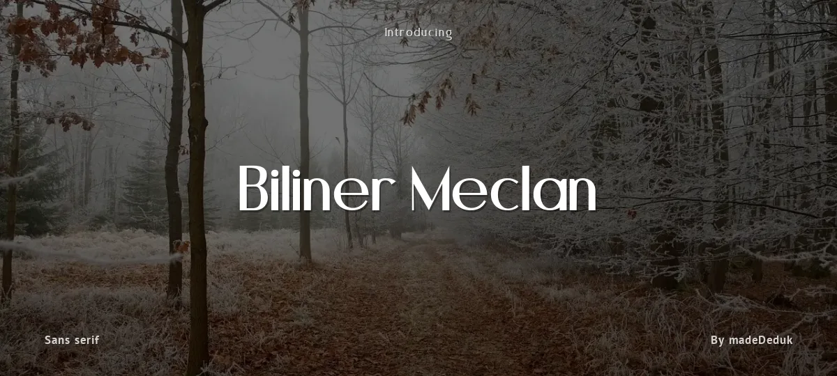 Biliner Meclan font preview