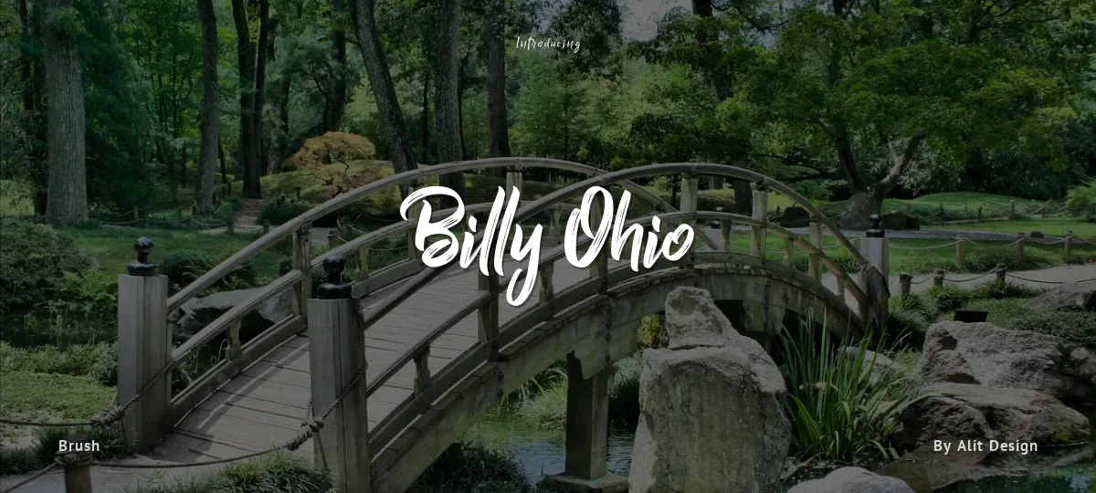 Billy Ohio font preview
