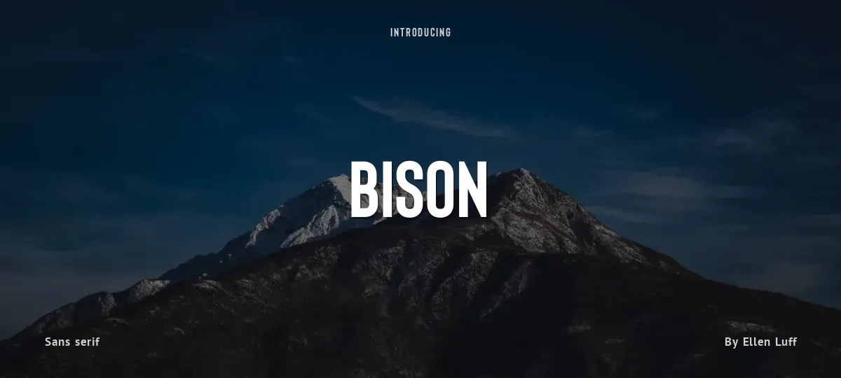 Bison font preview