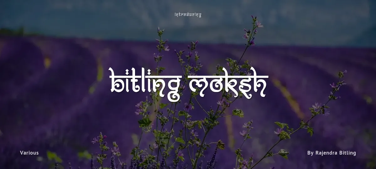 Bitling Moksh font preview