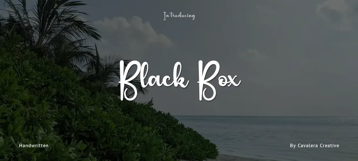 Black Box font preview