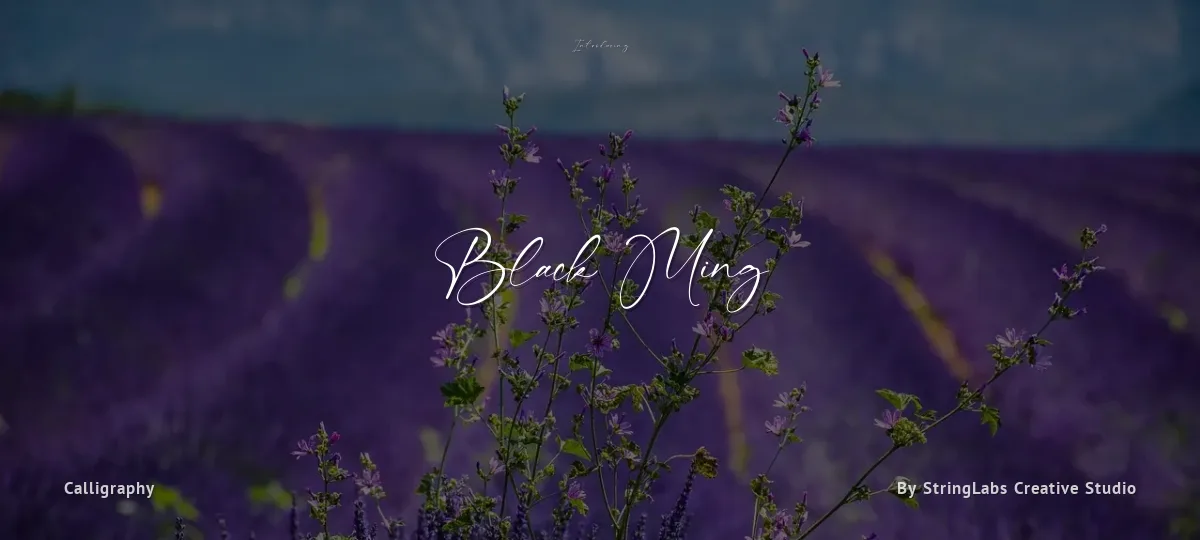 Black Ming font preview