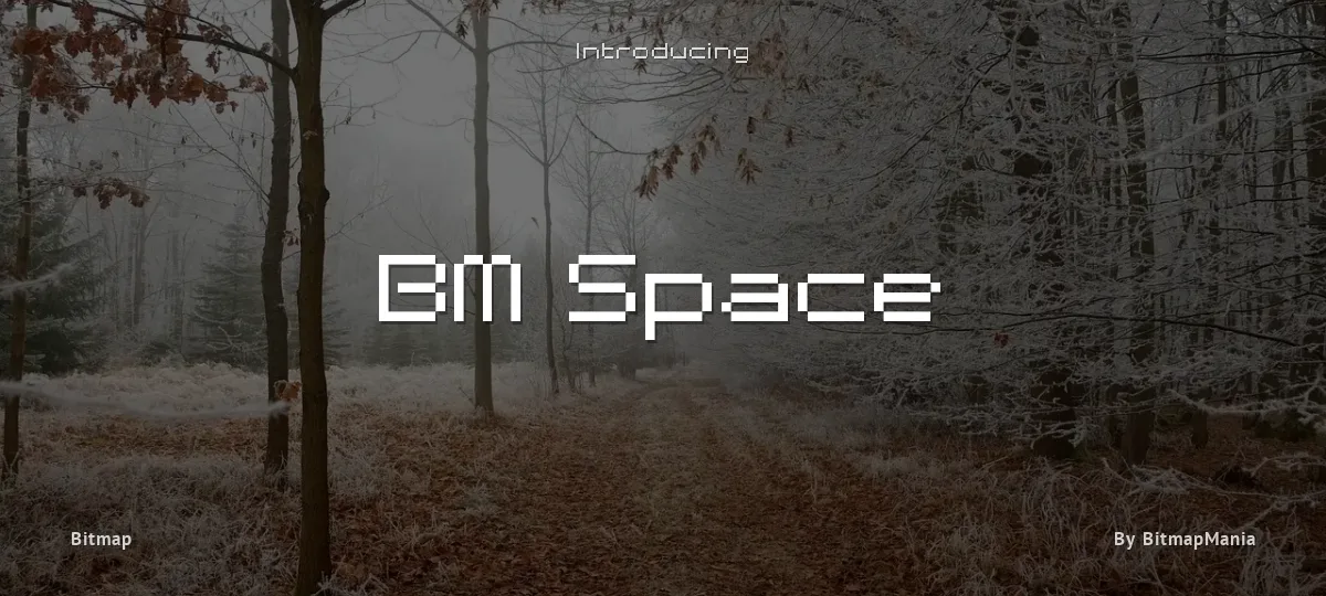 BM Space font preview