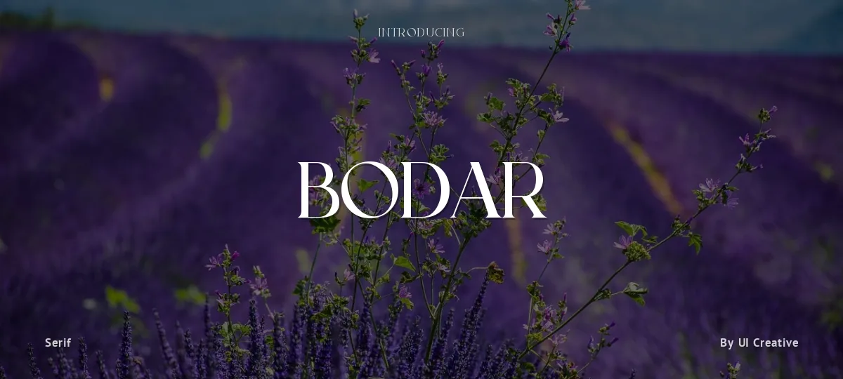 Bodar font preview