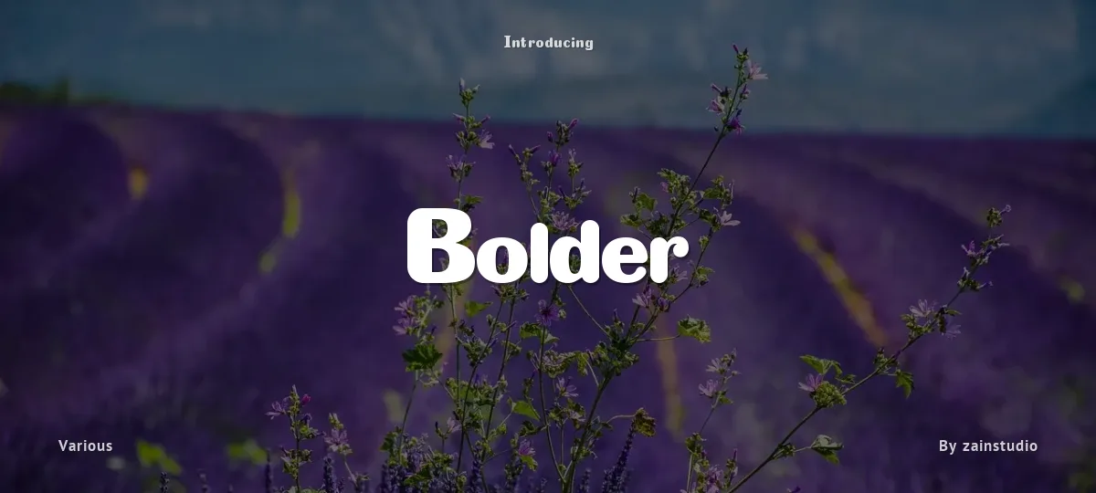 Bolder font preview