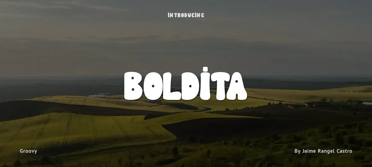 Boldita font preview