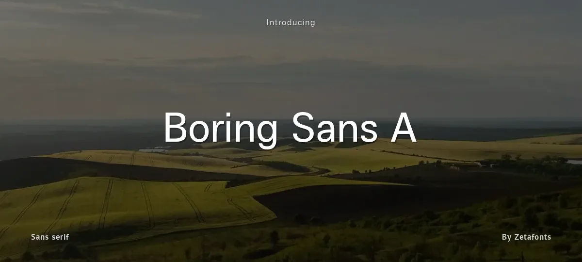 Boring Sans A font preview