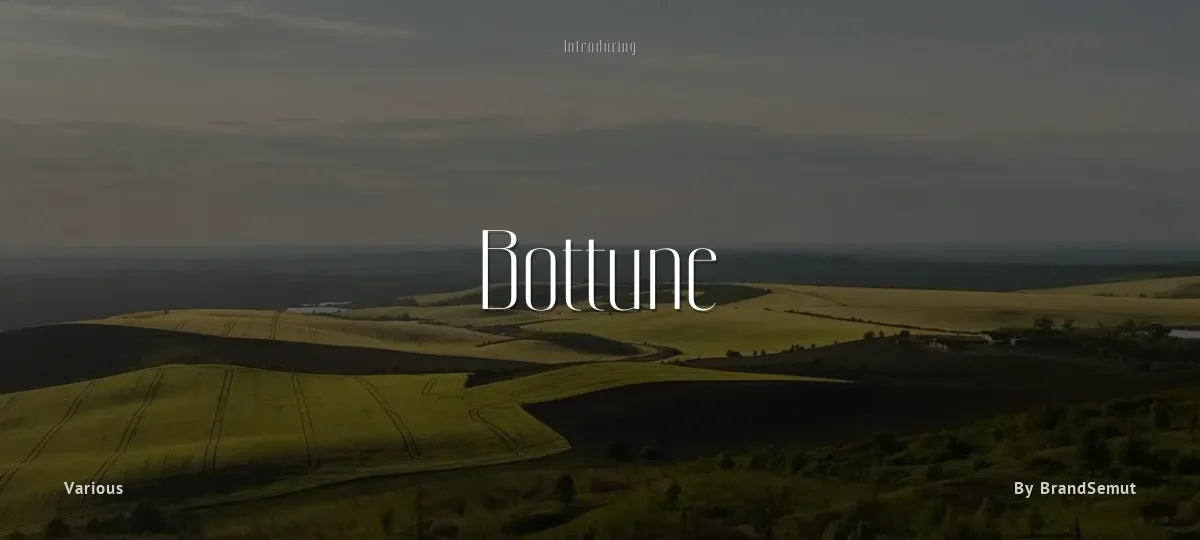 Bottune font preview